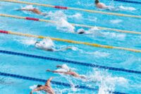 Natation