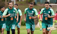 algérie avant