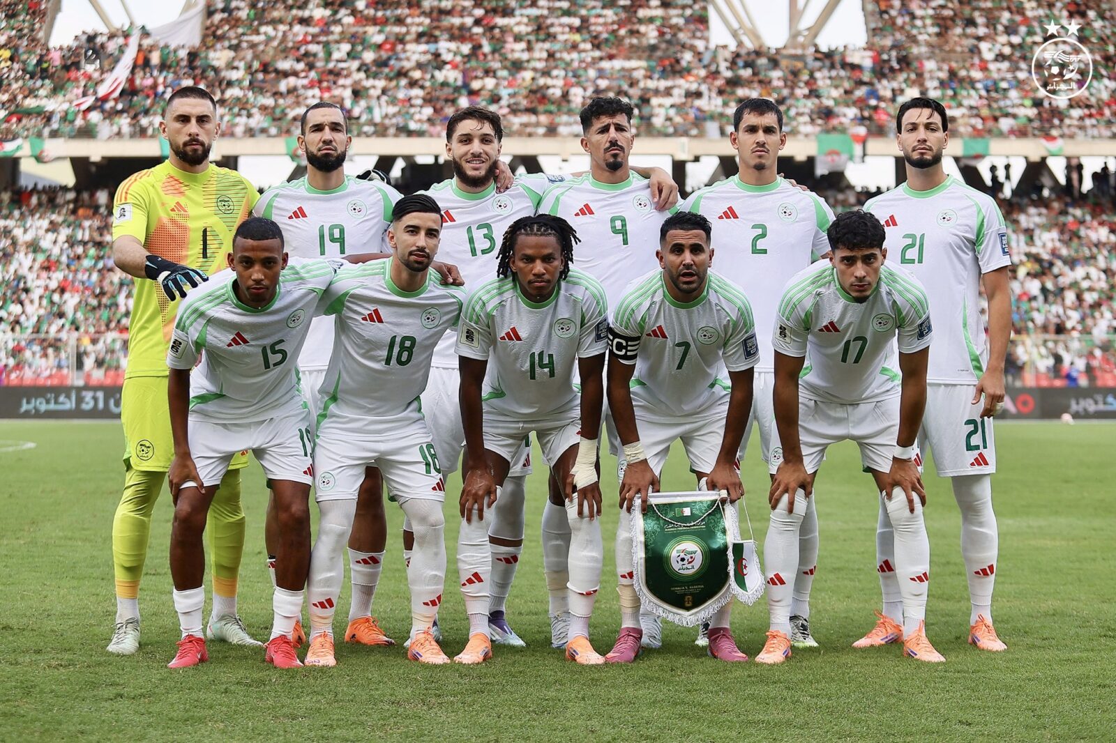 Verts Somalie
