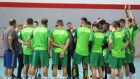 Handball