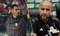 Dib Bougherra