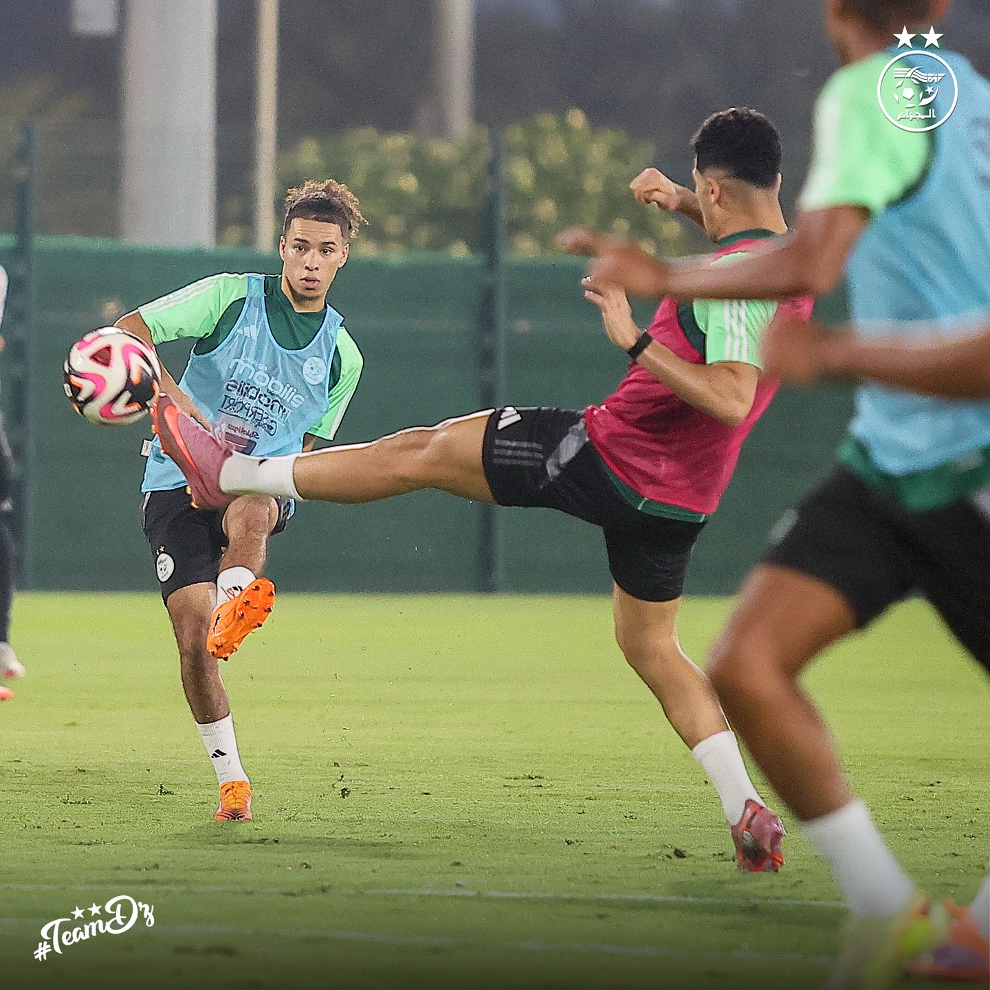 572362525 18157620307398019 7115559065840182203 n