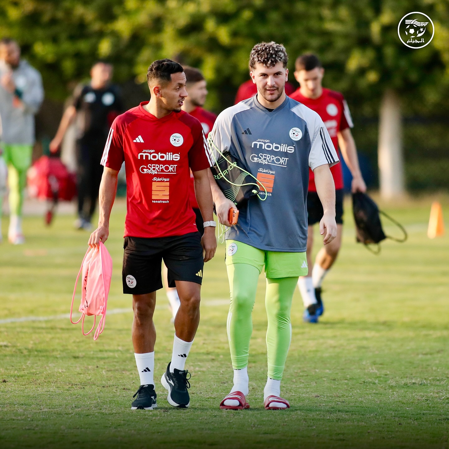 573150721 18157466827398019 5308619975048466953 n