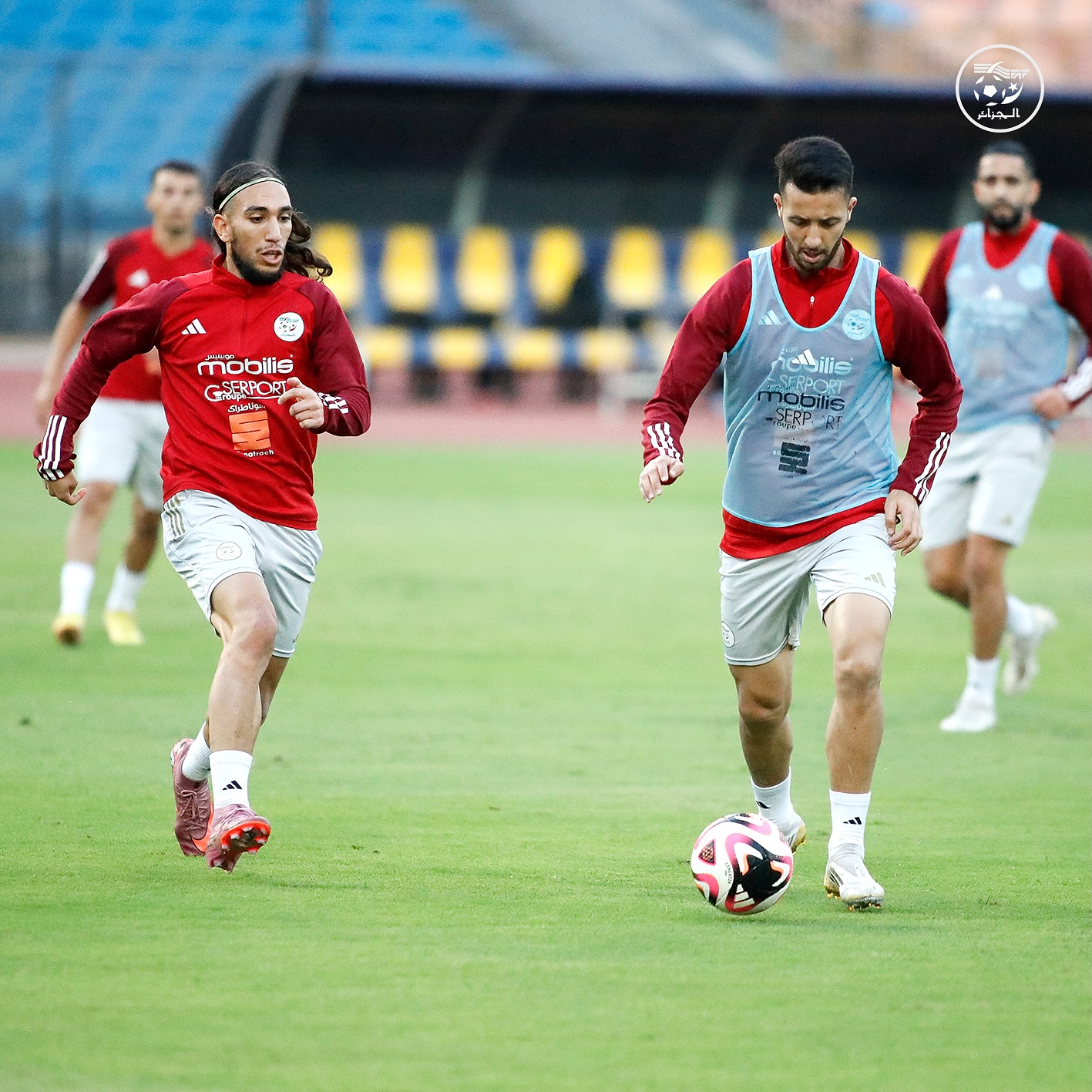 573810370 18157705738398019 374978303737889280 n