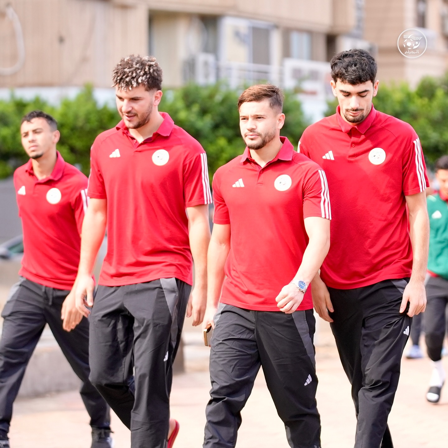 574119628 18157750822398019 2150734833246971926 n