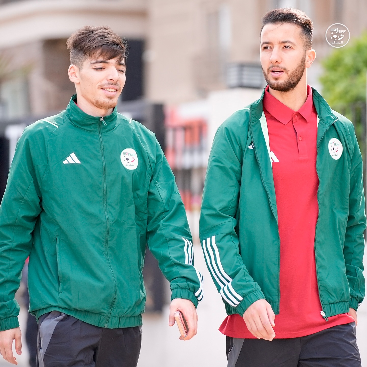 574234395 18157750780398019 7269175518982808775 n