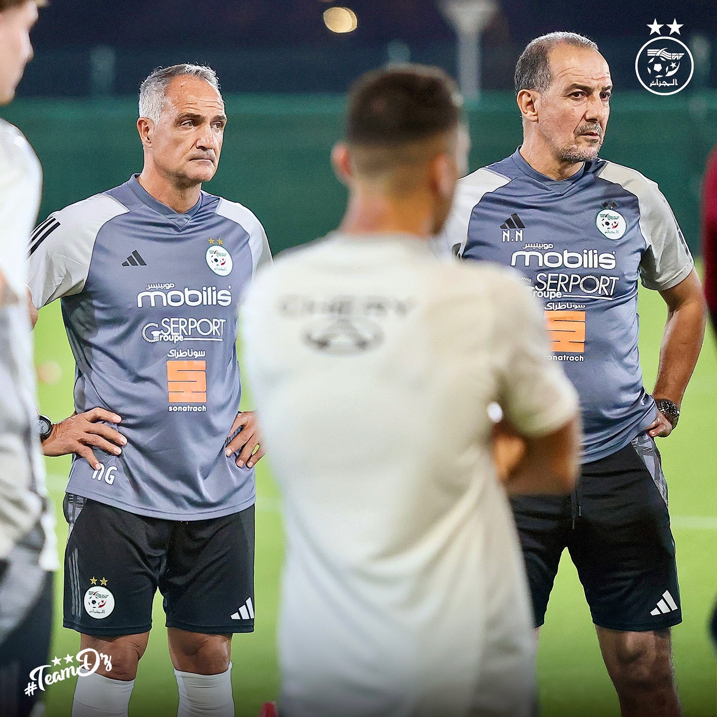 575297498 18157371982398019 6576217346990786099 n