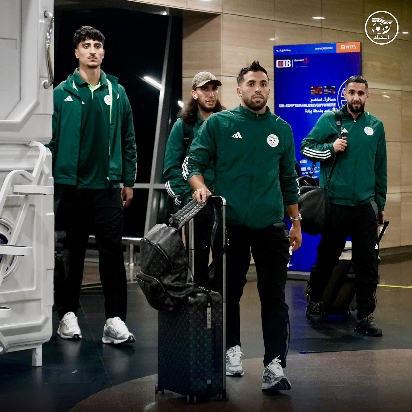 578329332 122176672514484363 6563110213192701907 n