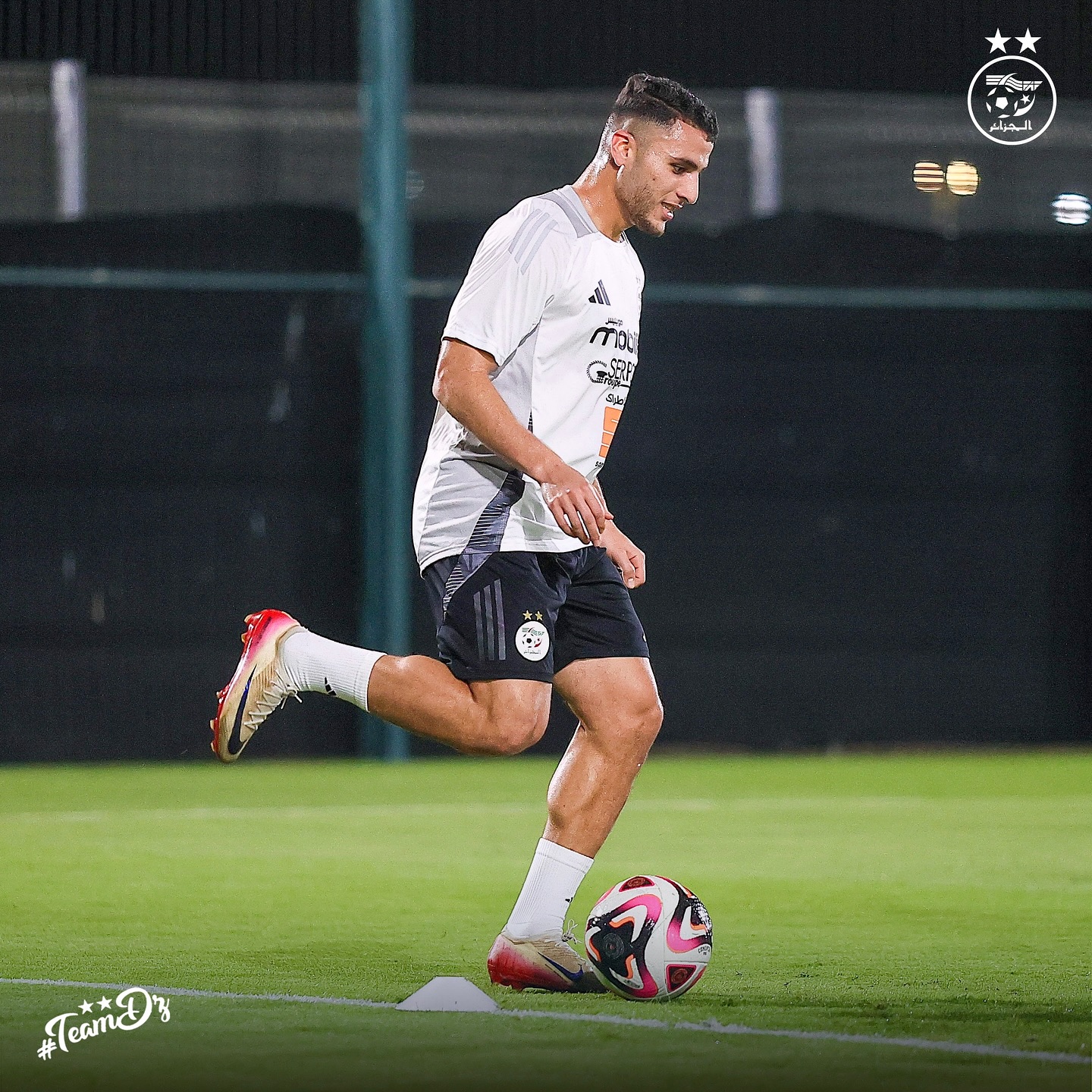 580005729 18157371913398019 4260526365573416554 n