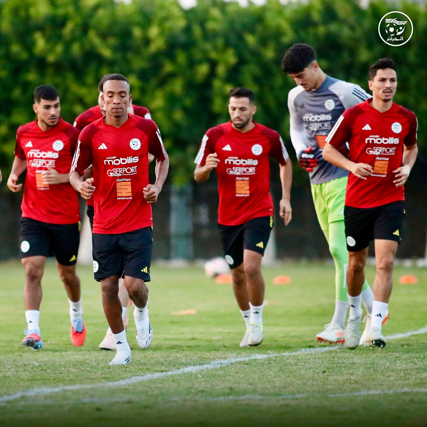 580505181 18157466845398019 6008230876073000541 n