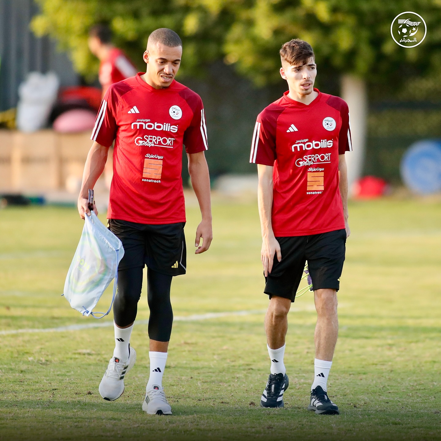 580562771 18157466818398019 6977433441767107993 n