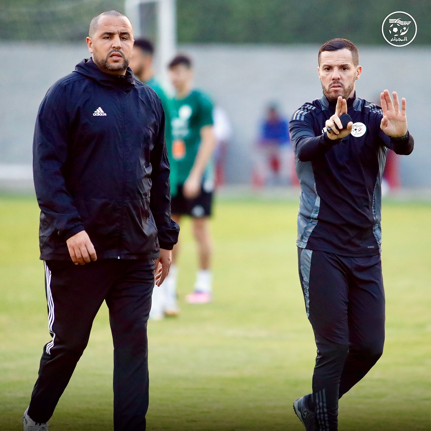 580945950 18157618450398019 5119768472518501710 n