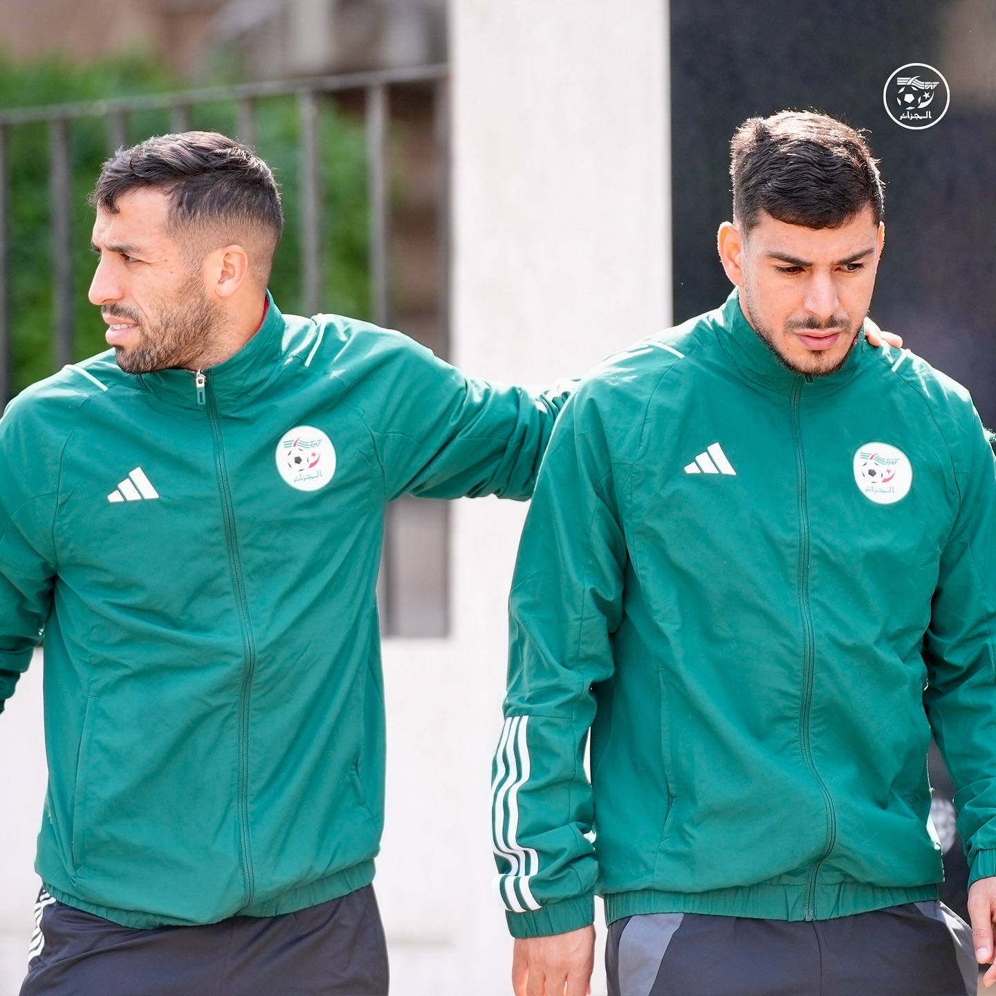 581064638 18157750831398019 3875221863103720785 n