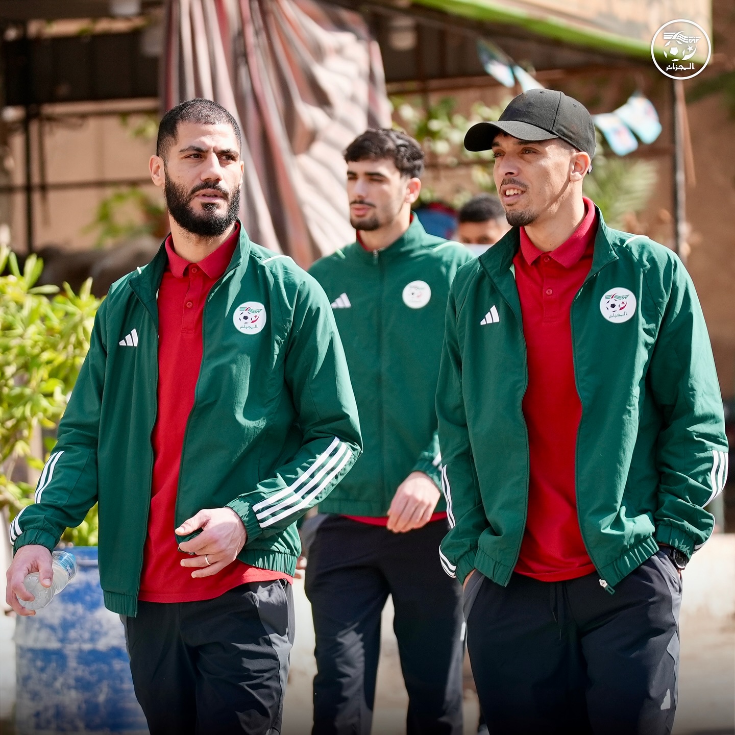 581330182 18158001139398019 5743295743987327729 n