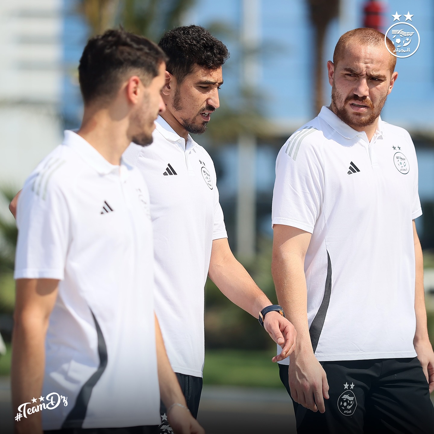 581391375 18158078428398019 2482127148089565662 n