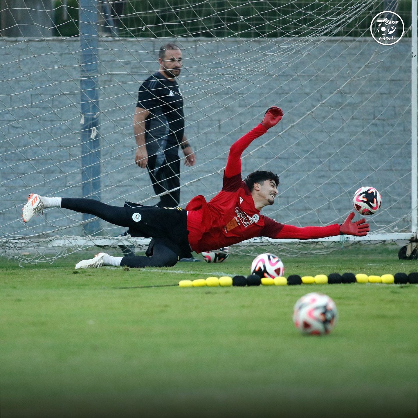 581404881 18157950538398019 7083424108776140354 n