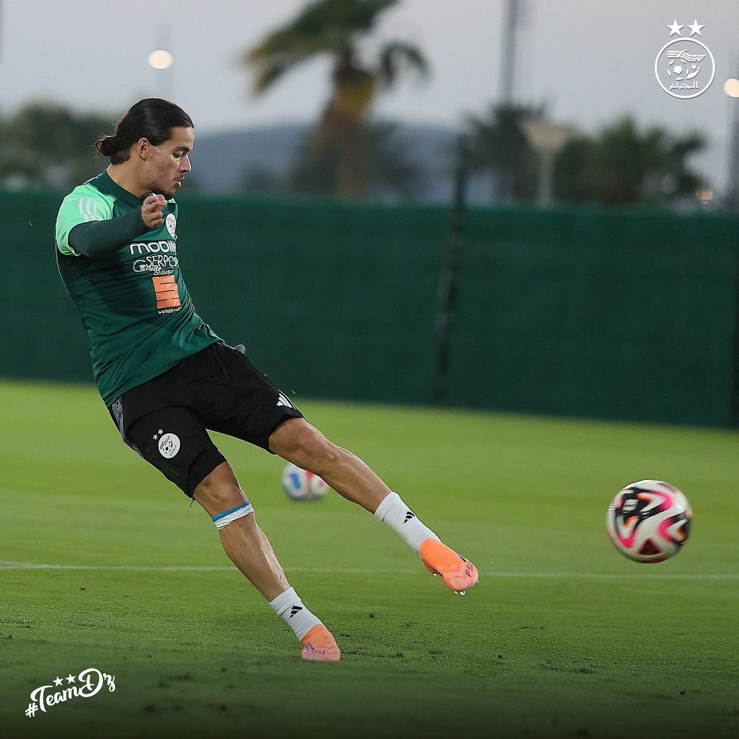 581430561 18158034043398019 8313857311480078987 n