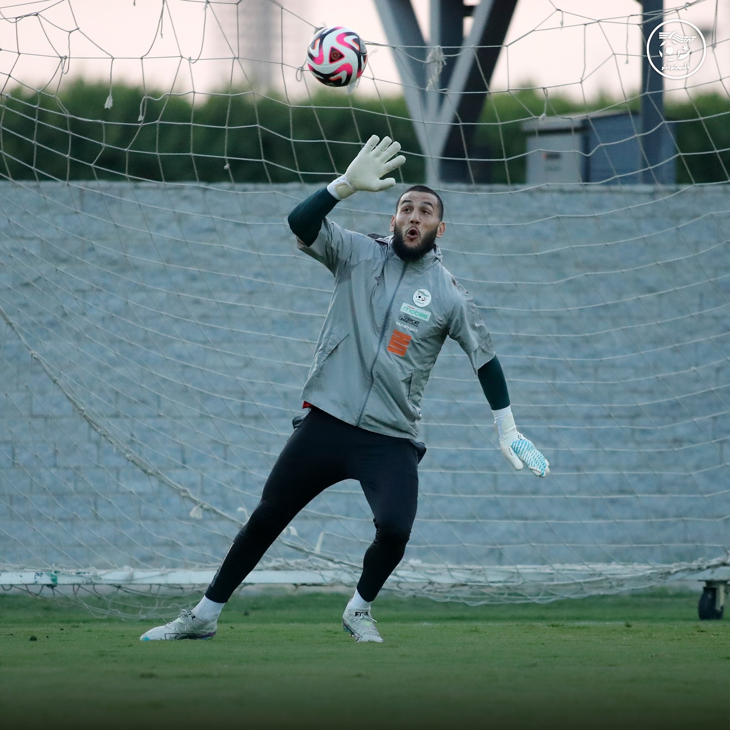 581484880 18157950505398019 6156815346801948455 n