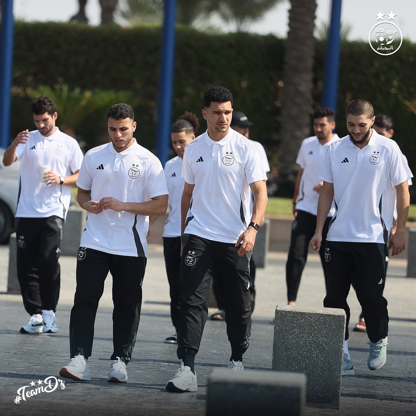 581503466 18158078371398019 2574369552265611906 n