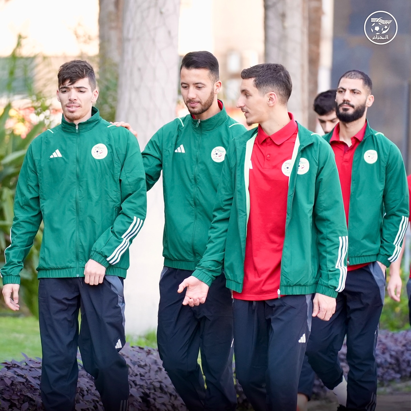 581555850 18158001091398019 5590408462746639631 n