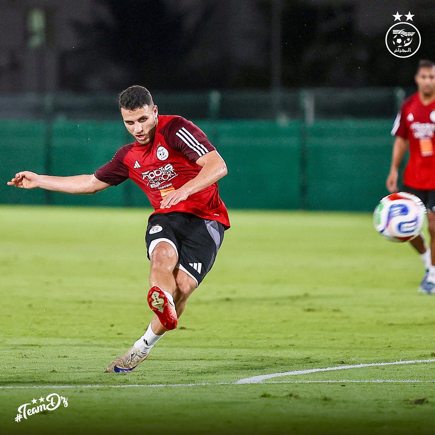 581703414 18157957303398019 5673967078173793770 n