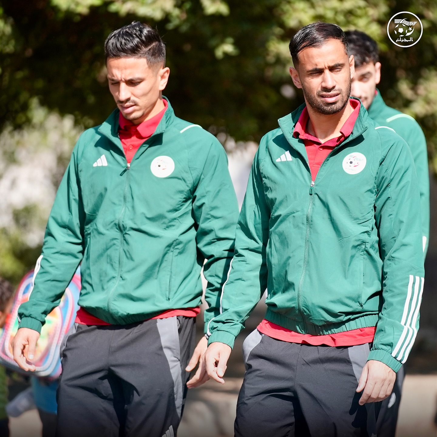 581727739 18158001121398019 9123625511688953953 n