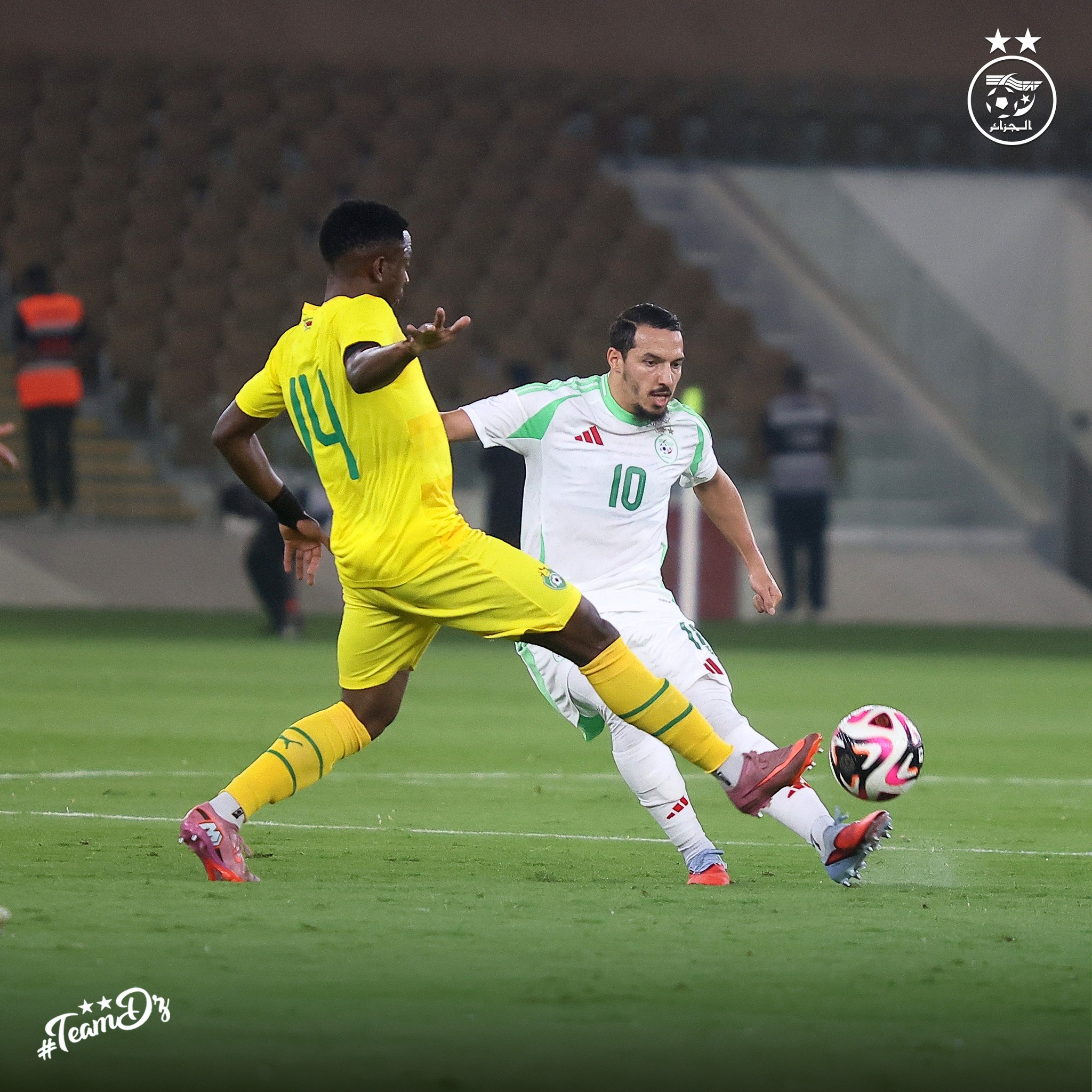 581799419 122176976924484363 3585212757123865027 n