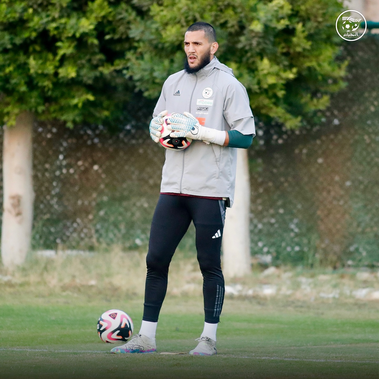 581846894 18157618603398019 7187881508552093985 n