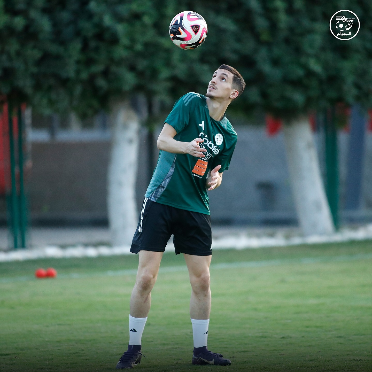 582096377 18157950424398019 678516537781671345 n