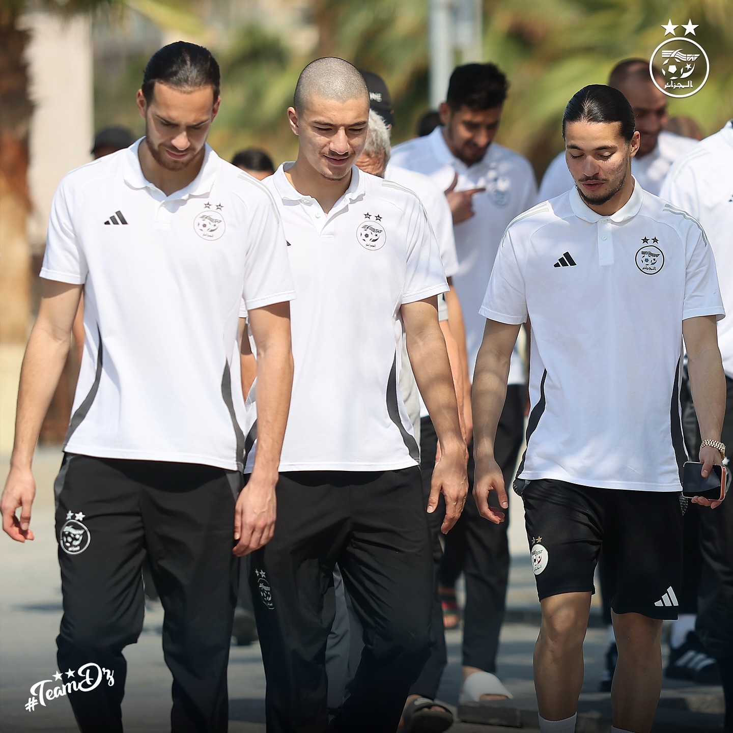 582329496 18158078392398019 9203520489860343551 n