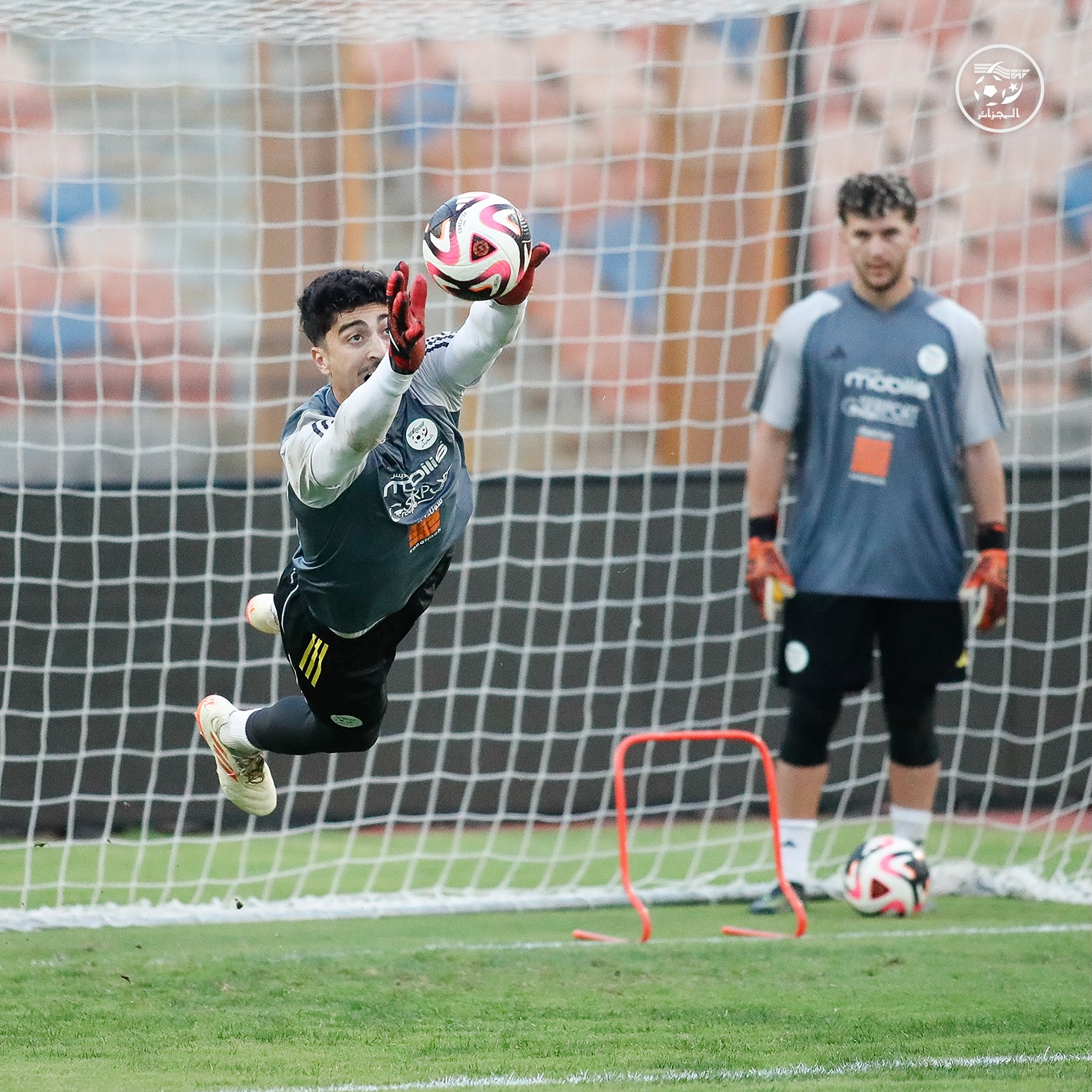 582492905 18157705804398019 4145762782192635743 n