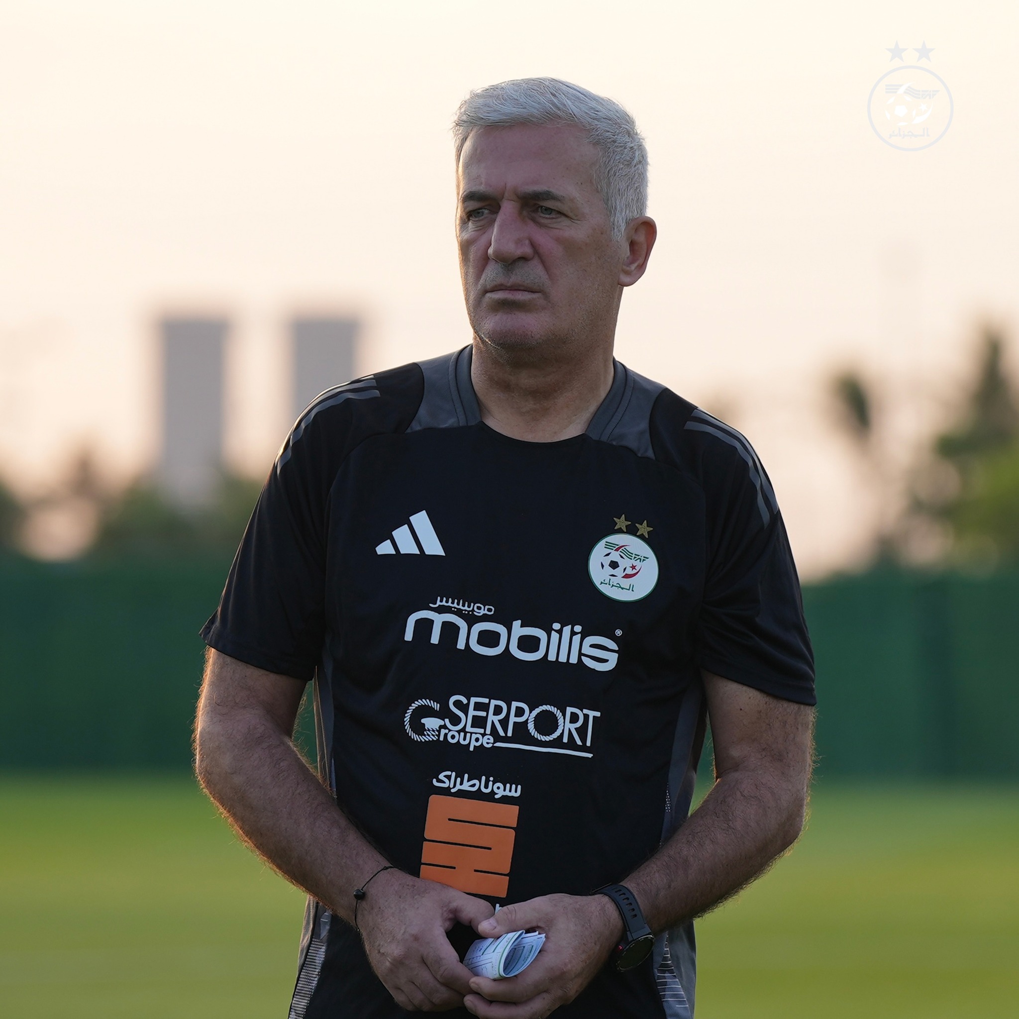 582523411 122177200154484363 4800568918115870240 n