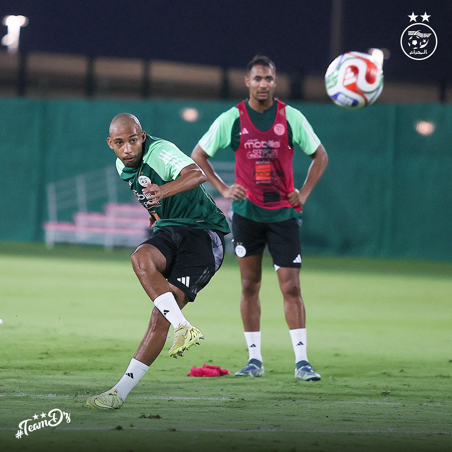 582526608 18158034187398019 3371363346211278600 n