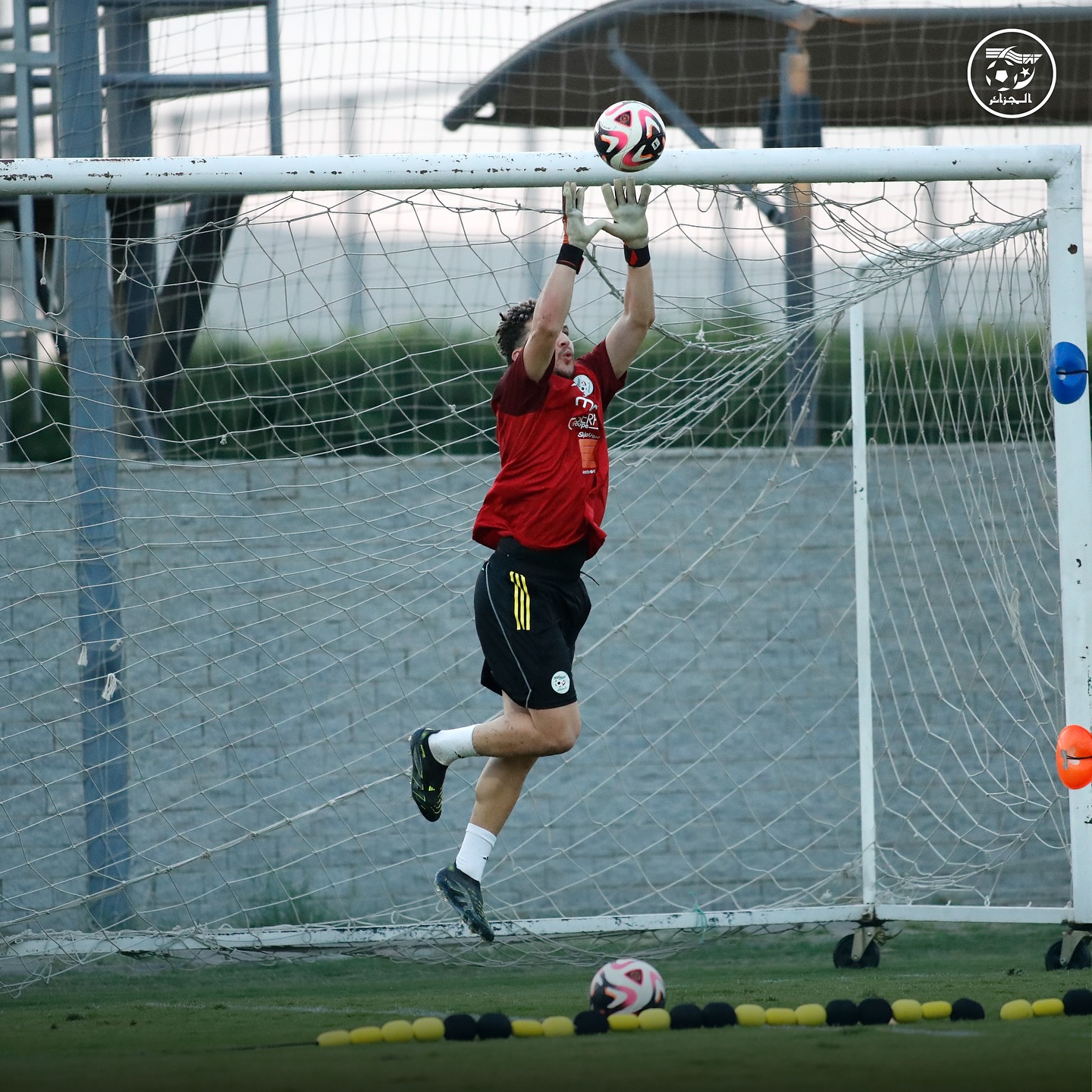 582542385 18157950529398019 4332377238128957261 n