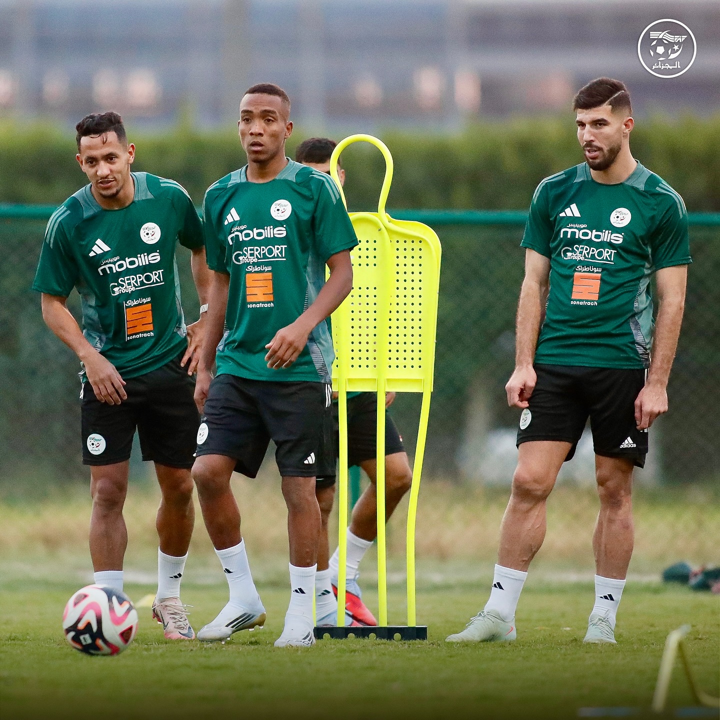 582571175 18157618552398019 4336359869312536187 n