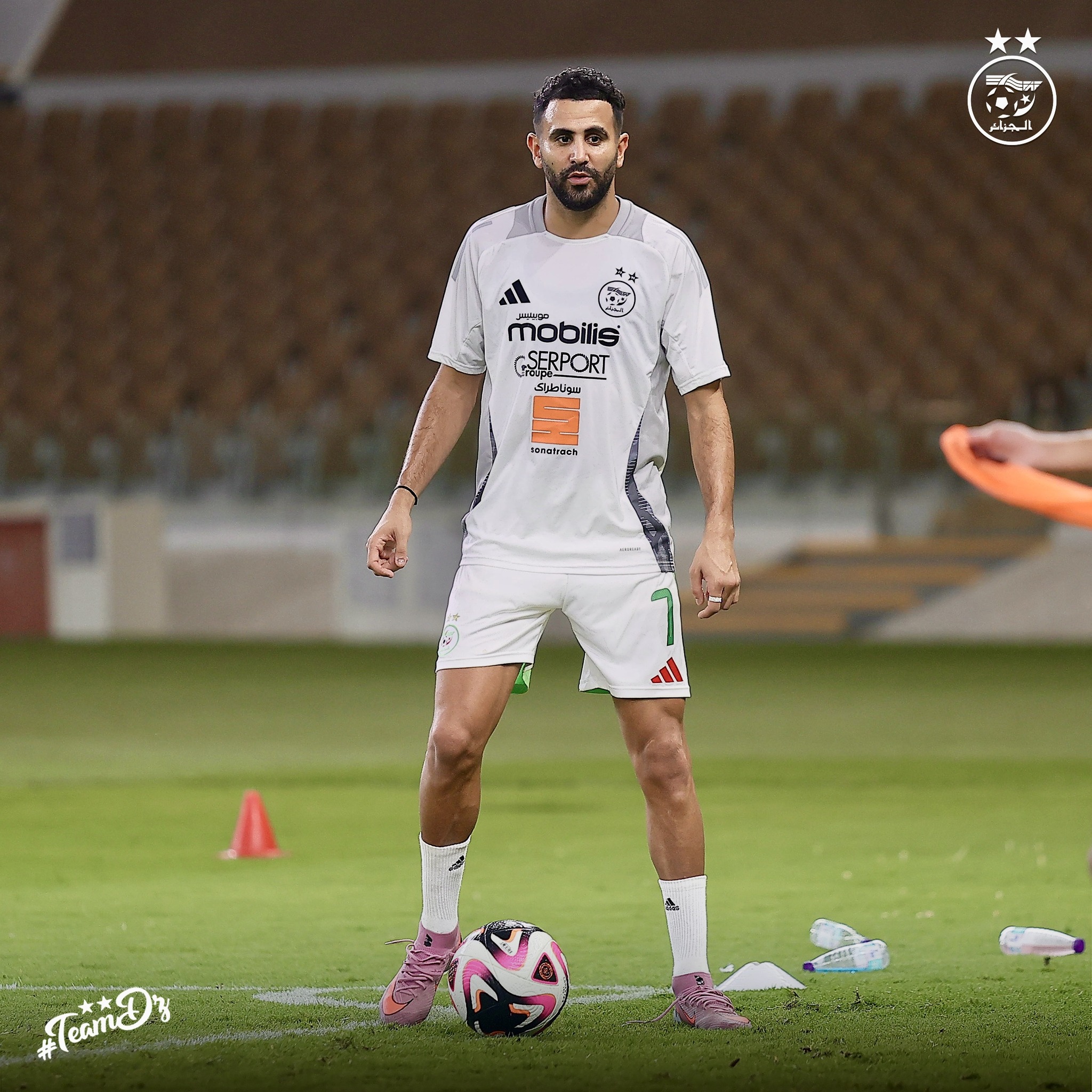 582704602 122176992212484363 620656063073537495 n