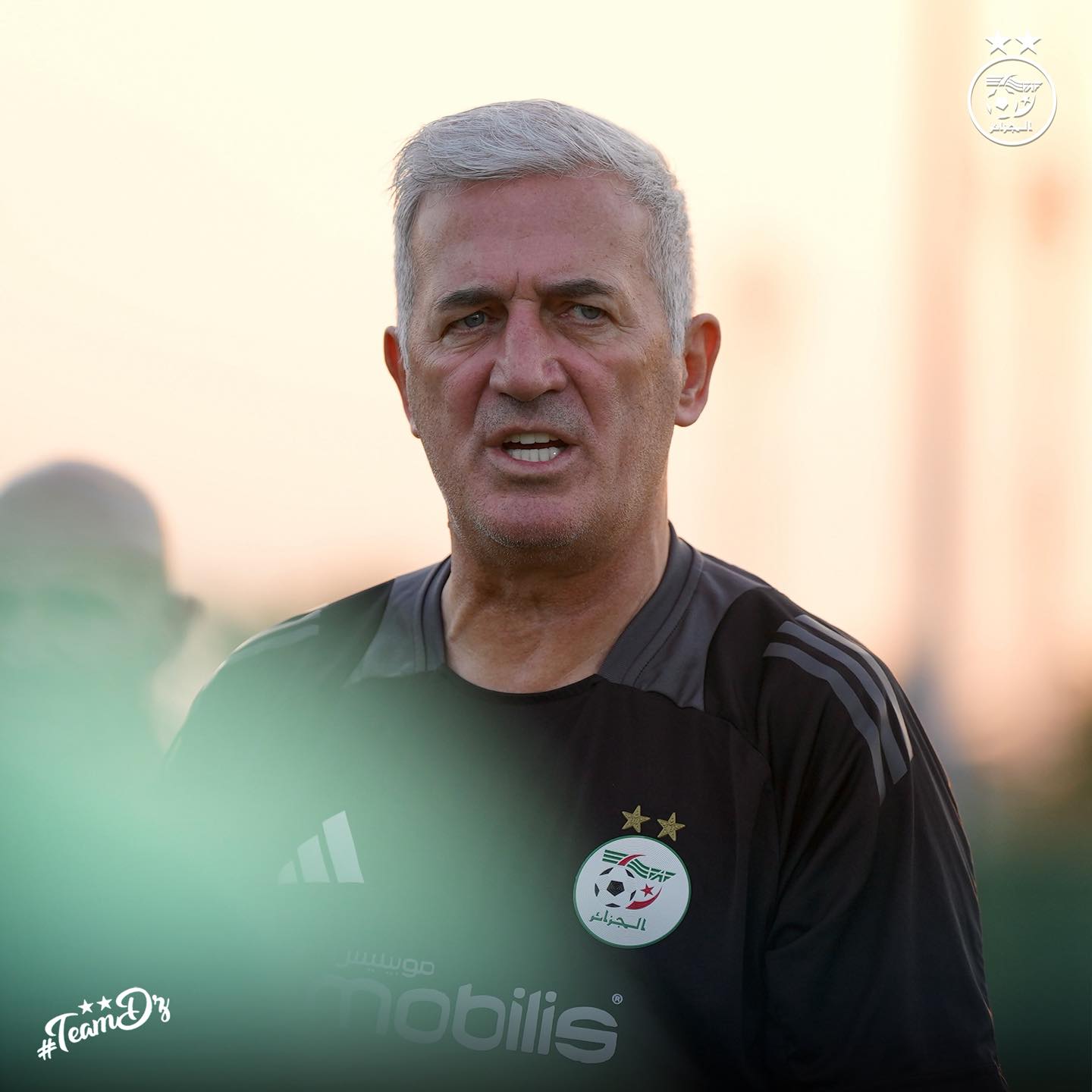 583317466 122177203718484363 1570500581676054736 n