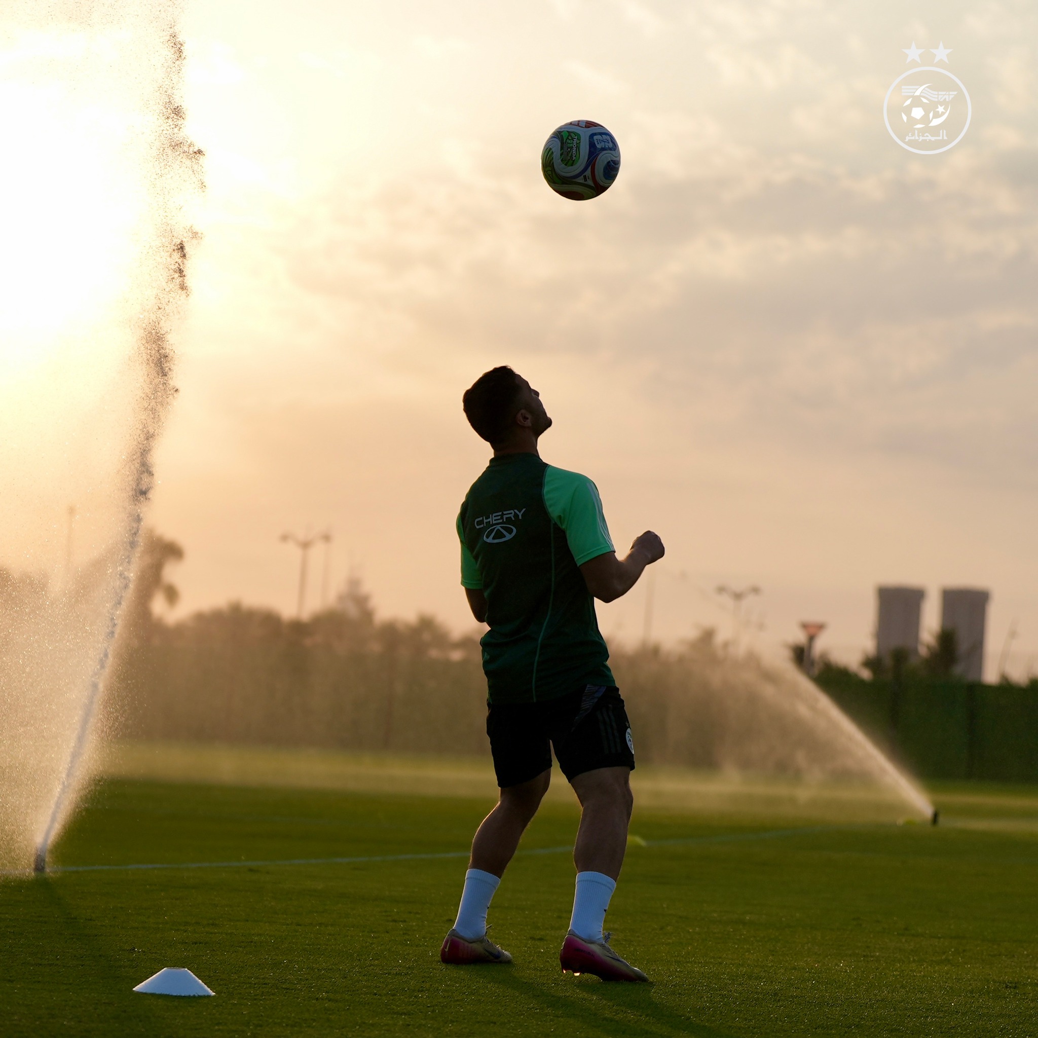 583335214 122177200202484363 2048724629442353270 n