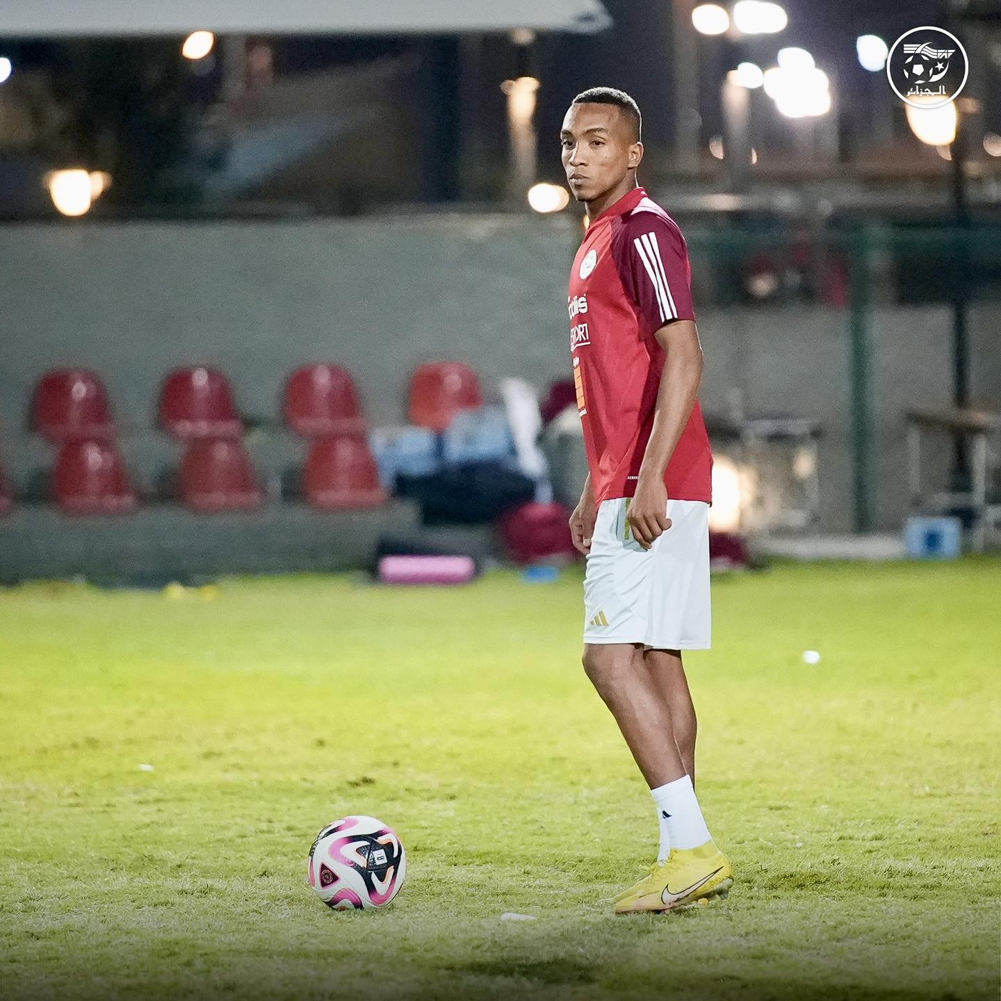 583606566 122177196092484363 8656761019685711548 n