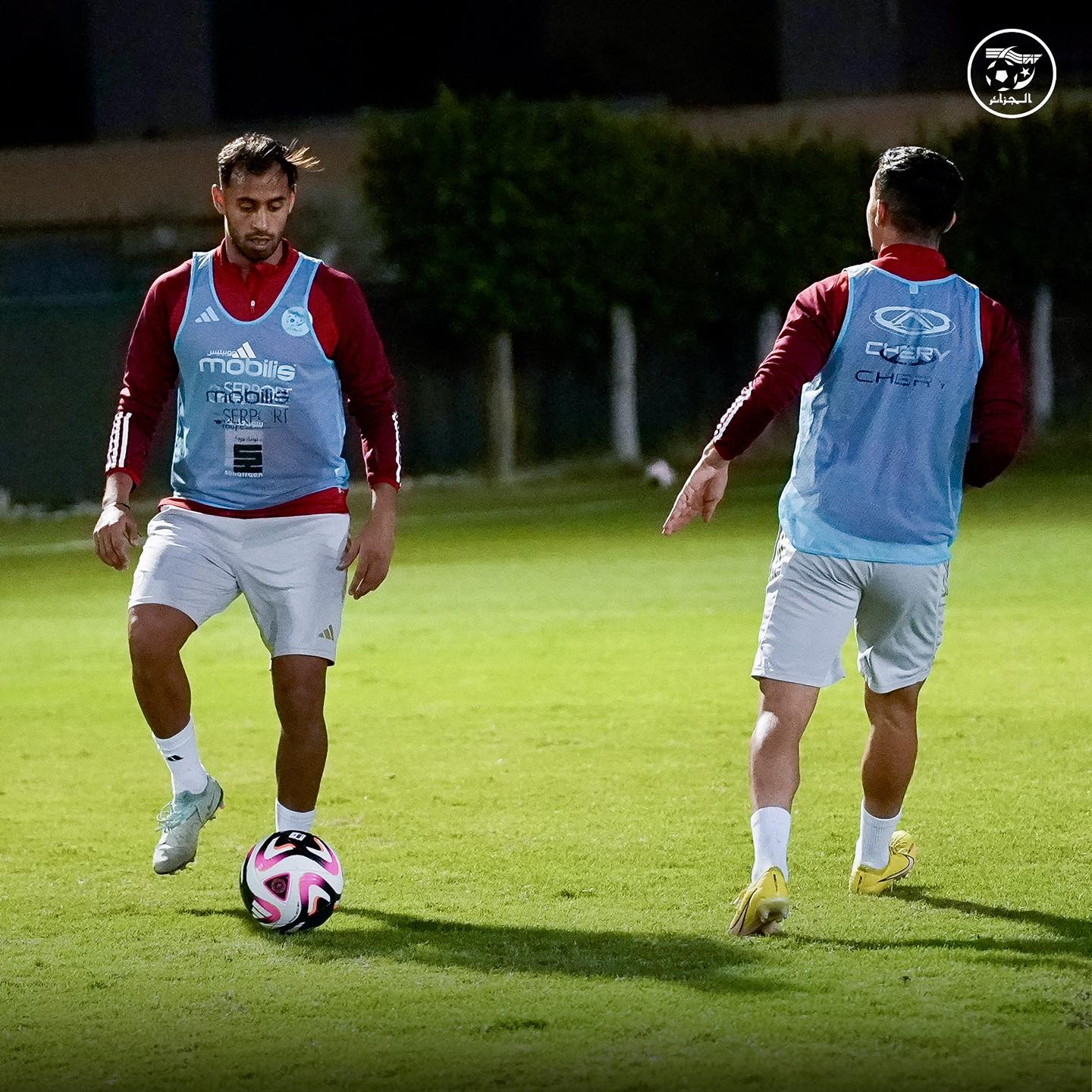 583733404 122177196134484363 1519785865894512806 n