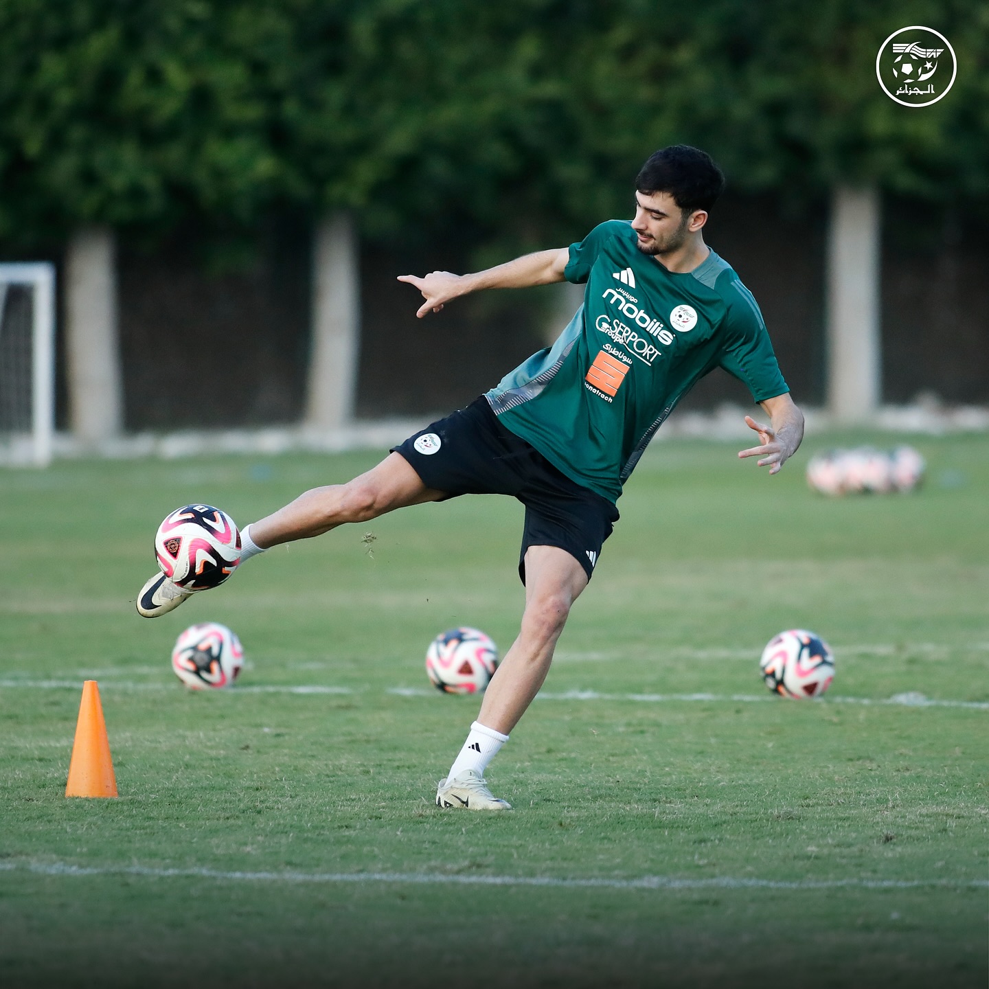 583821263 18157950490398019 9078660457974837719 n