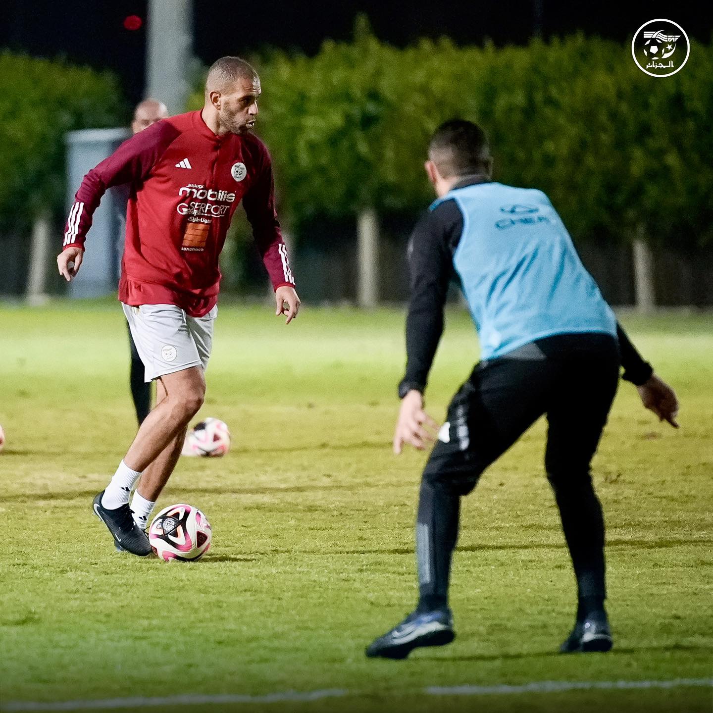 583845561 122177196146484363 4385231060529437152 n