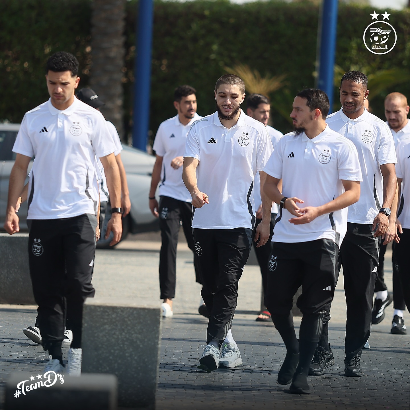 584076066 18158078380398019 967492508977571894 n