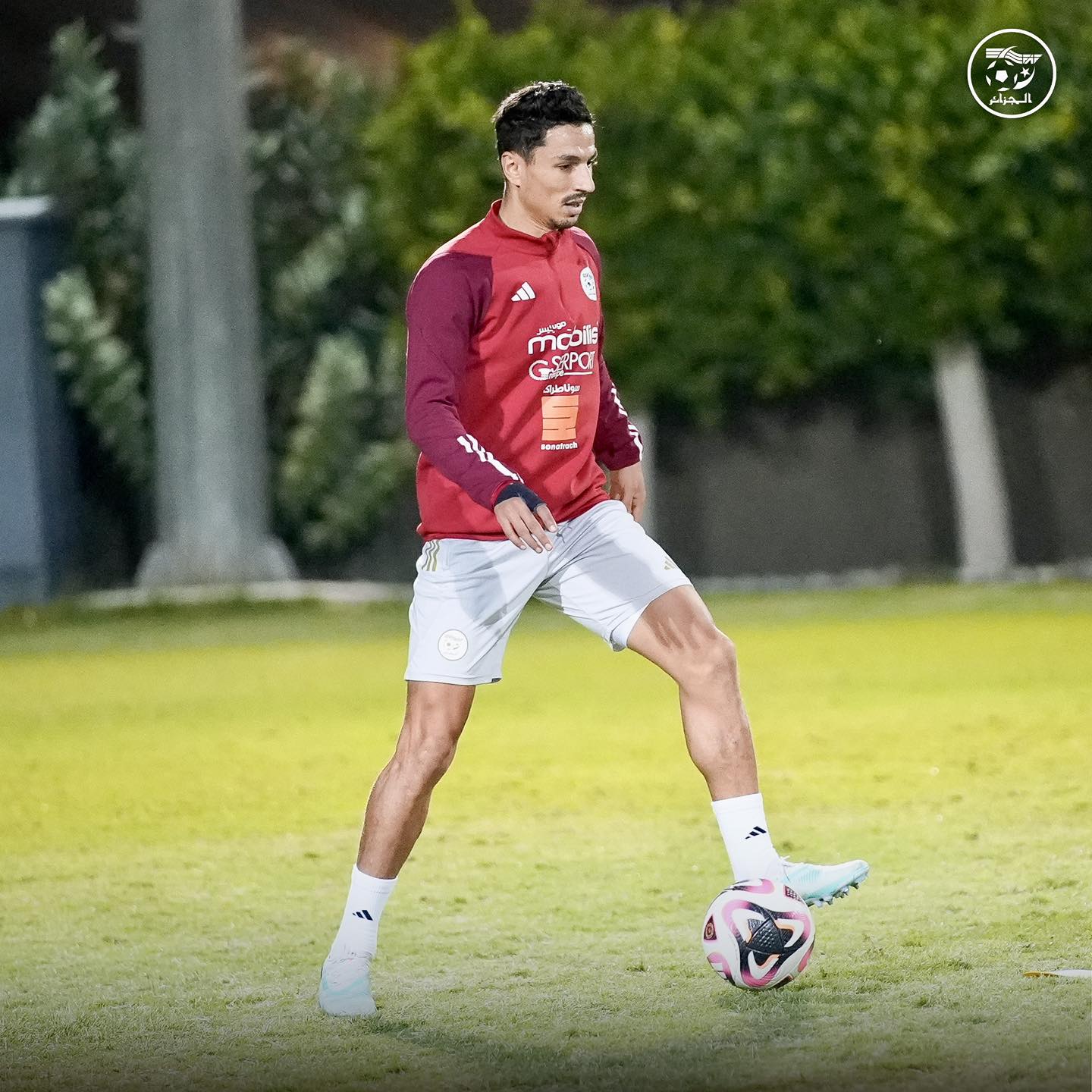 584121309 122177196128484363 9116314020939041487 n