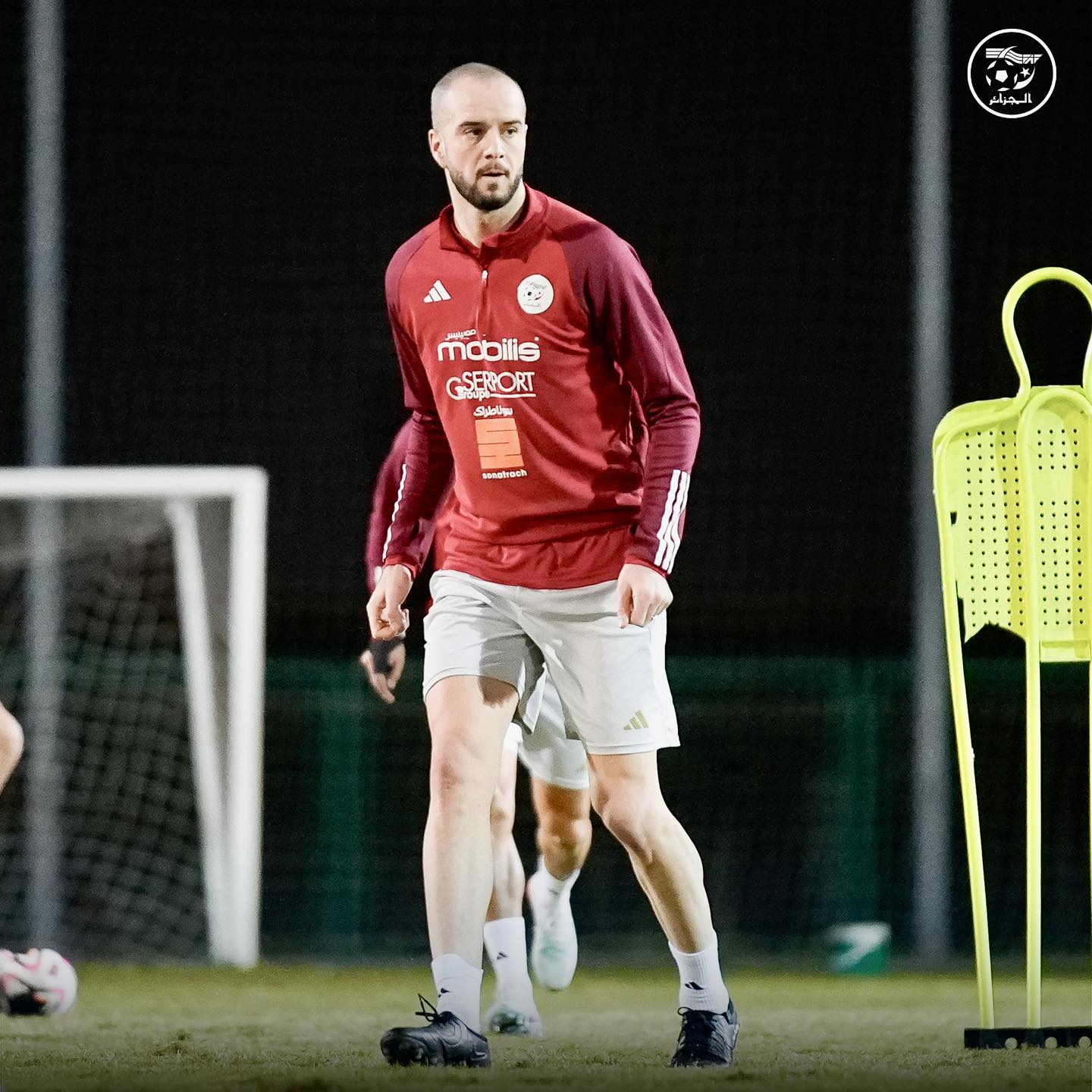 584257332 122177196122484363 5037295936764070576 n