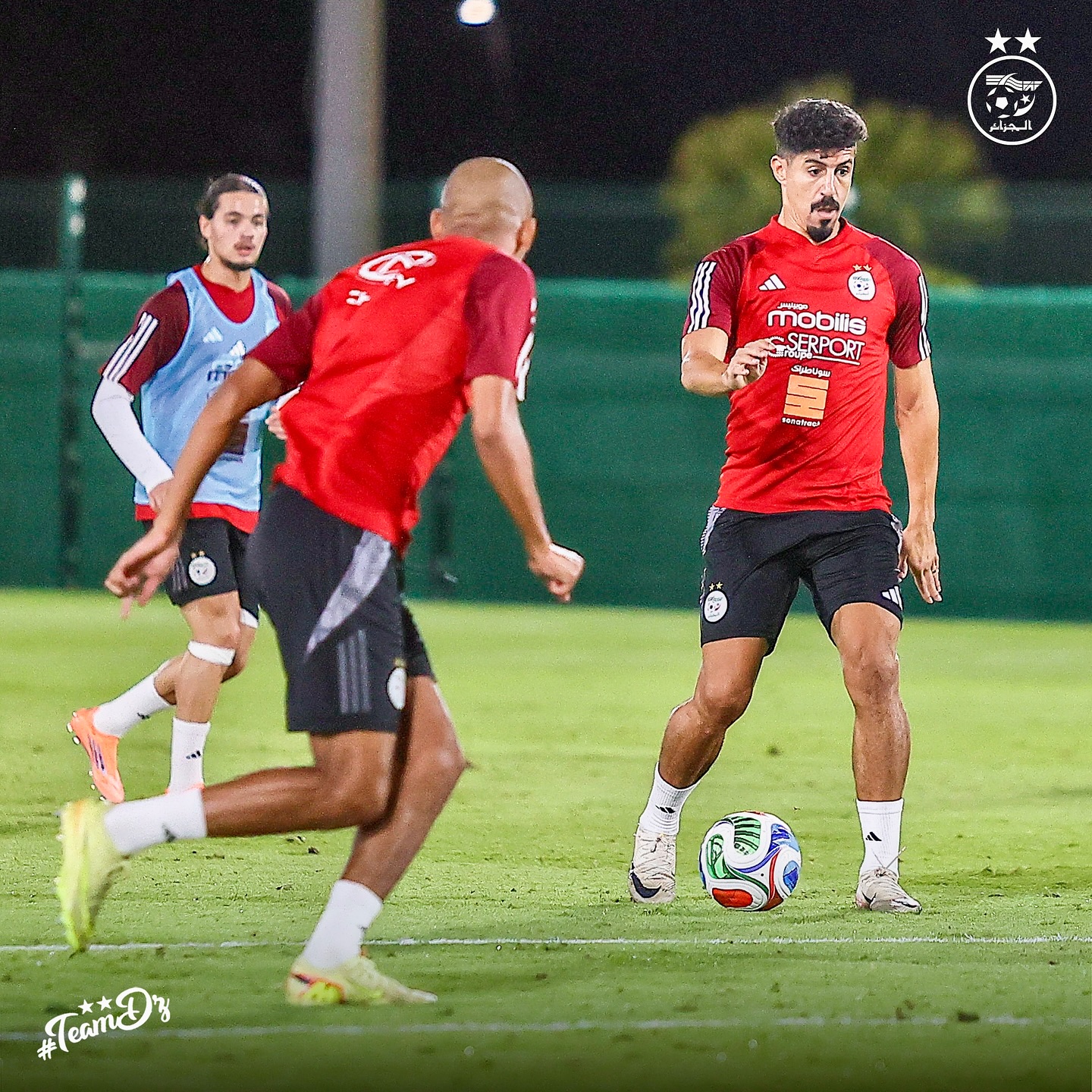 584363242 18157957285398019 1493647767824774689 n