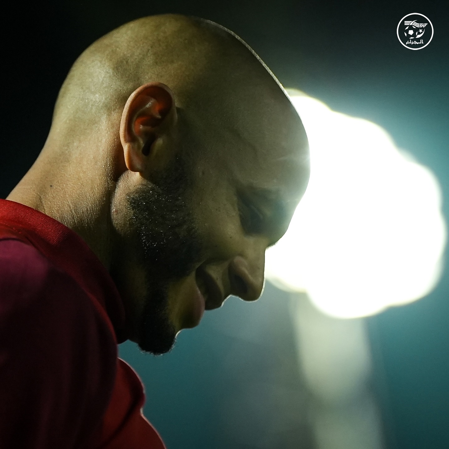 586685416 18159171106398019 5293375449784858473 n