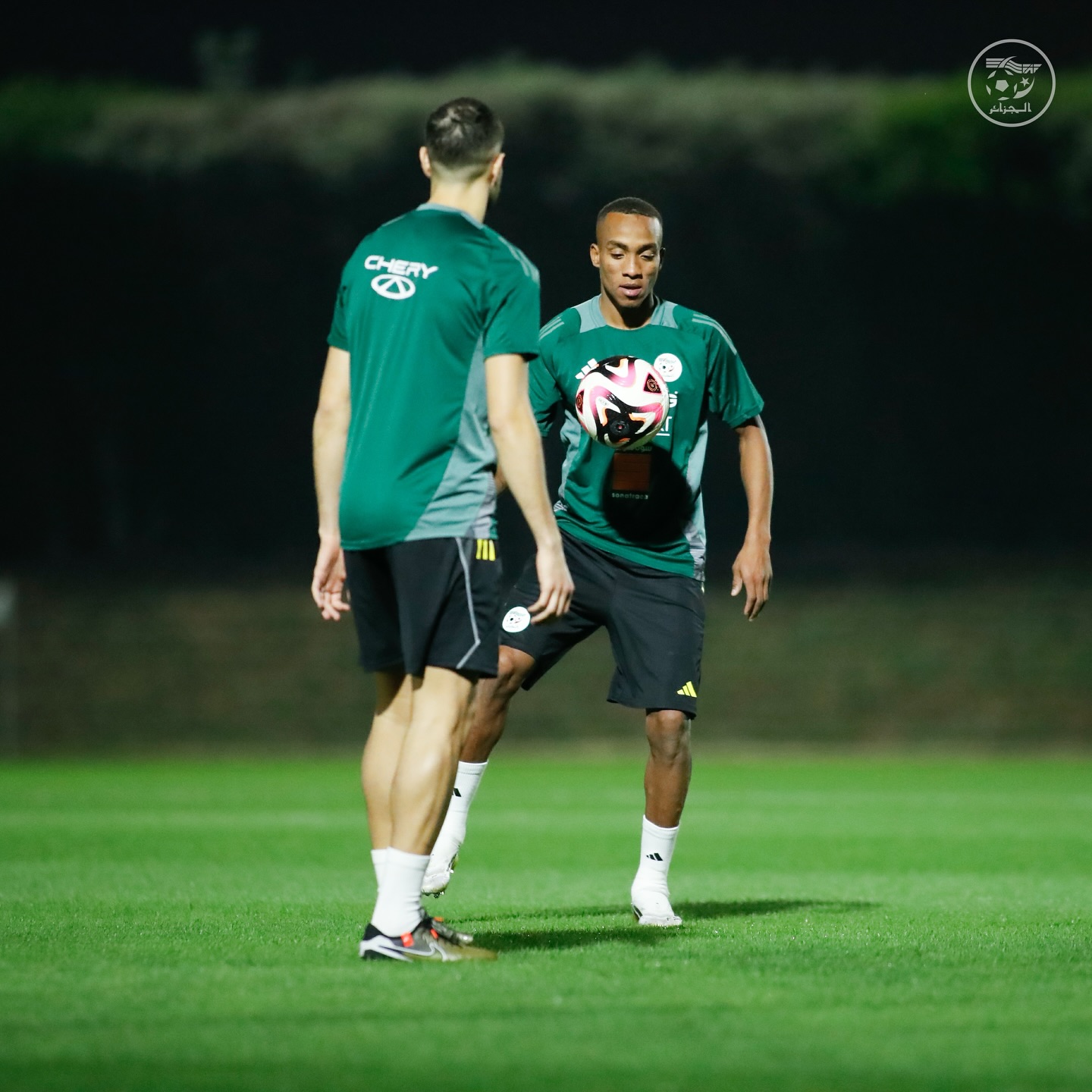 587275000 18159075679398019 8243875157476623848 n