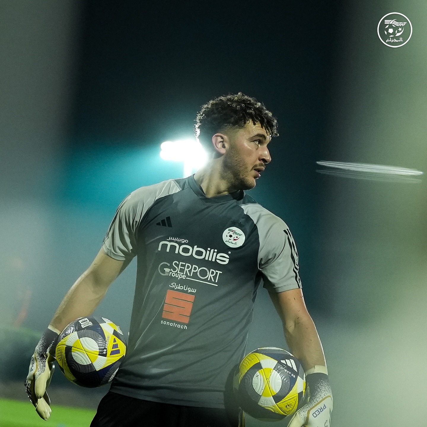 587300324 18159171121398019 4333628262648298408 n