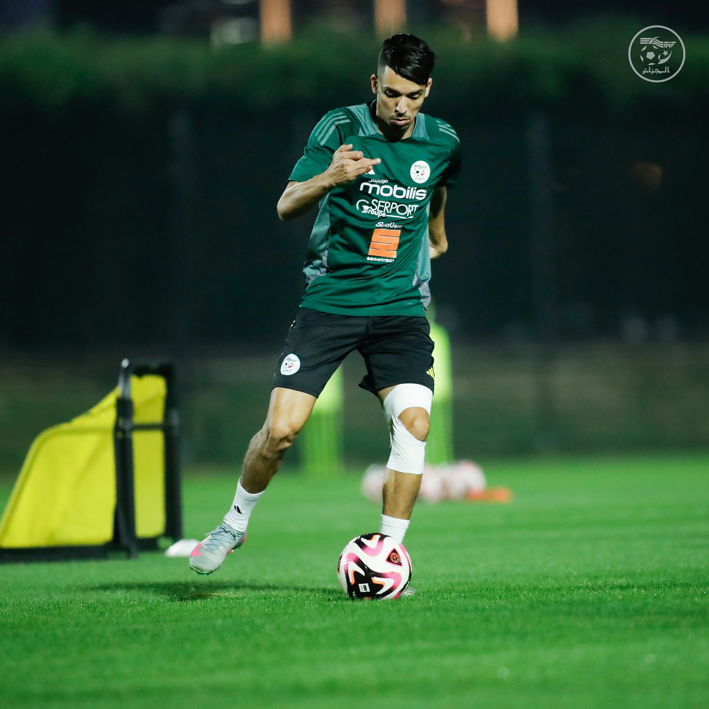 587790368 18159075757398019 8537910226733210424 n